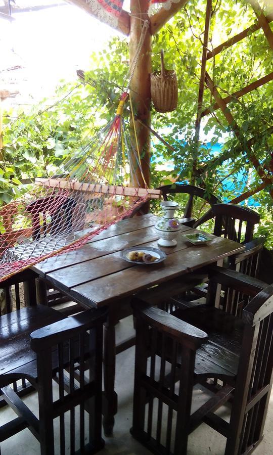 Casa Cosmin Guest House Dobra Exterior photo