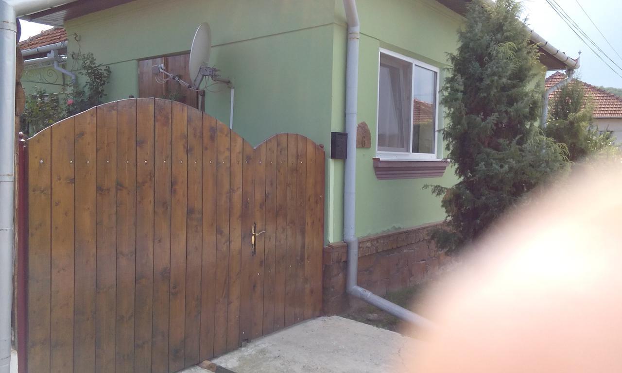 Casa Cosmin Guest House Dobra Exterior photo