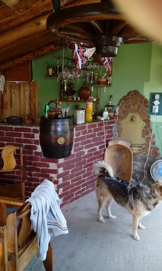 Casa Cosmin Guest House Dobra Exterior photo