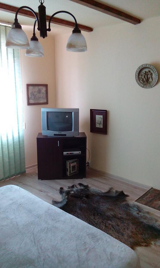 Casa Cosmin Guest House Dobra Exterior photo