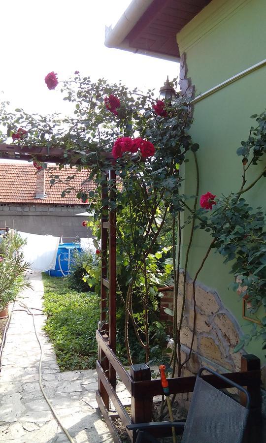 Casa Cosmin Guest House Dobra Exterior photo